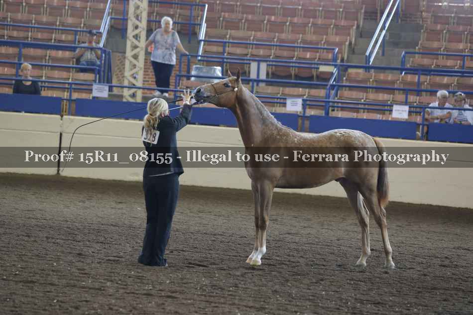 Proof 15R11_08155