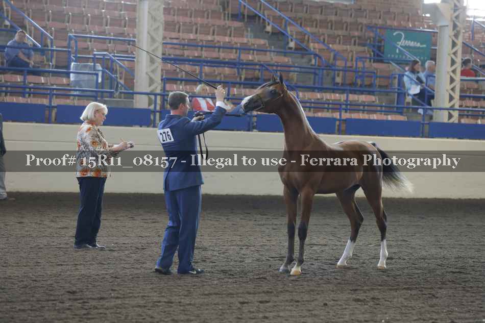 Proof 15R11_08157