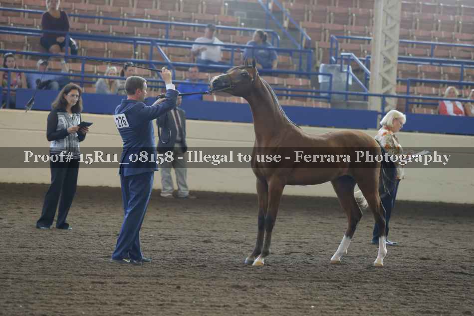 Proof 15R11_08158