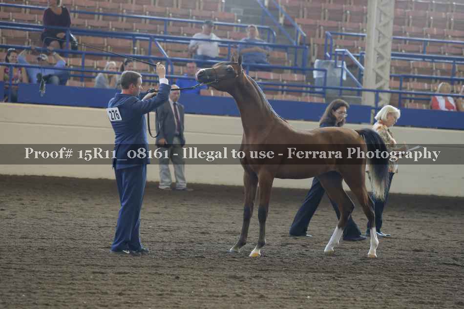 Proof 15R11_08161