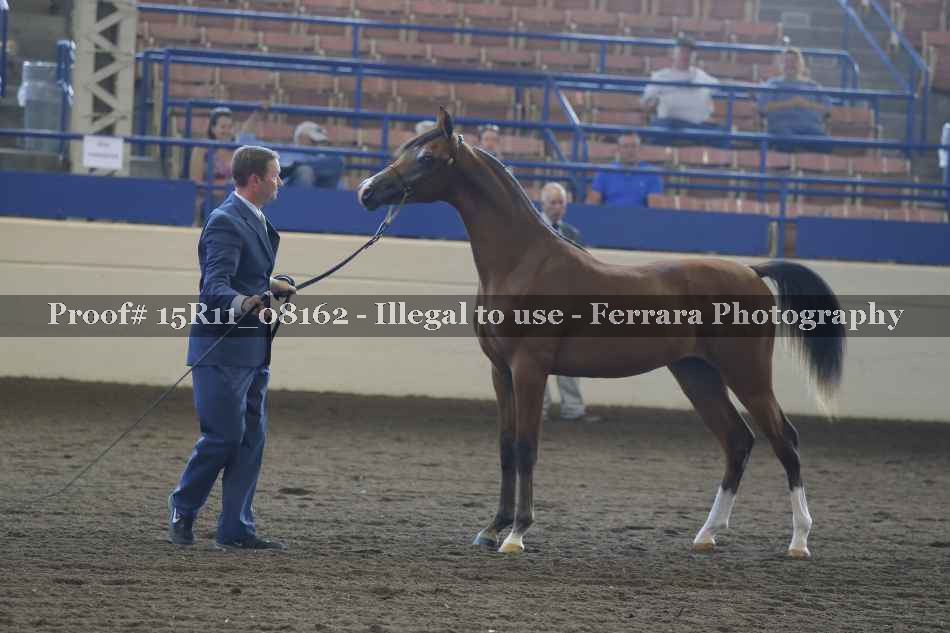Proof 15R11_08162