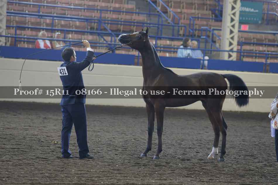 Proof 15R11_08166