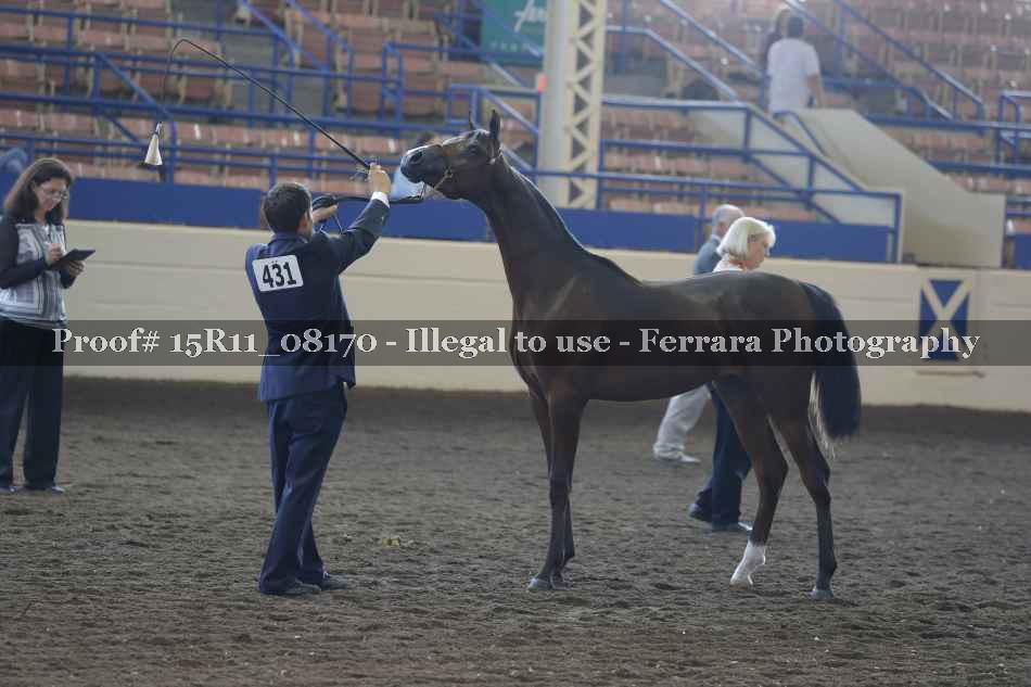 Proof 15R11_08170