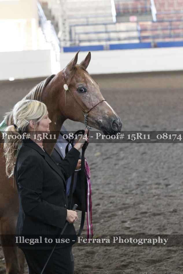 Proof 15R11_08174