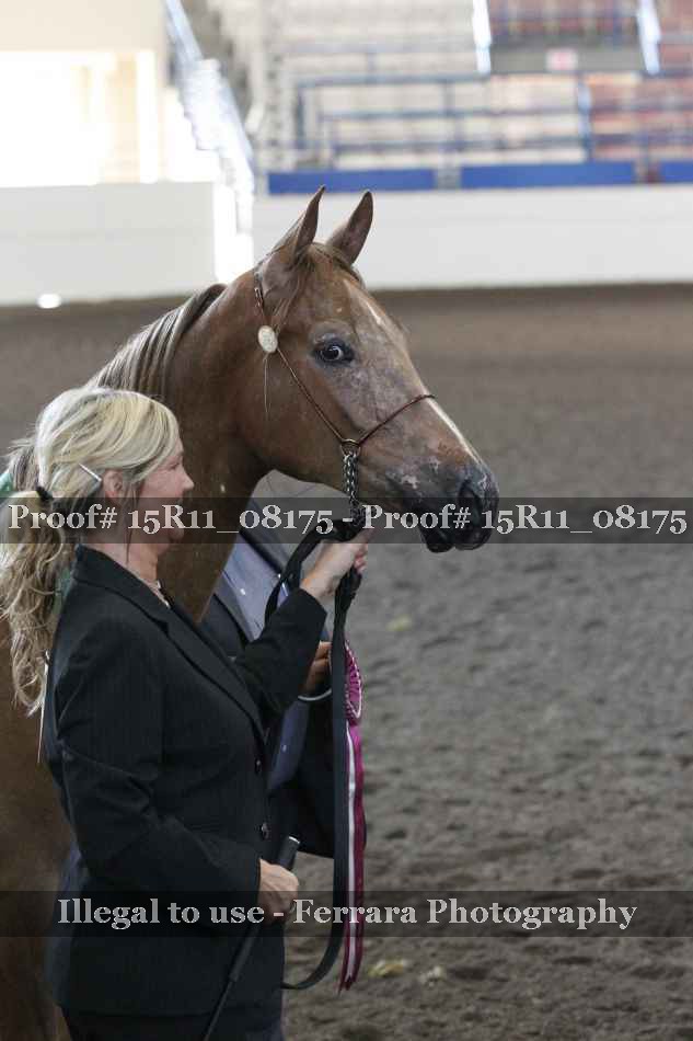 Proof 15R11_08175