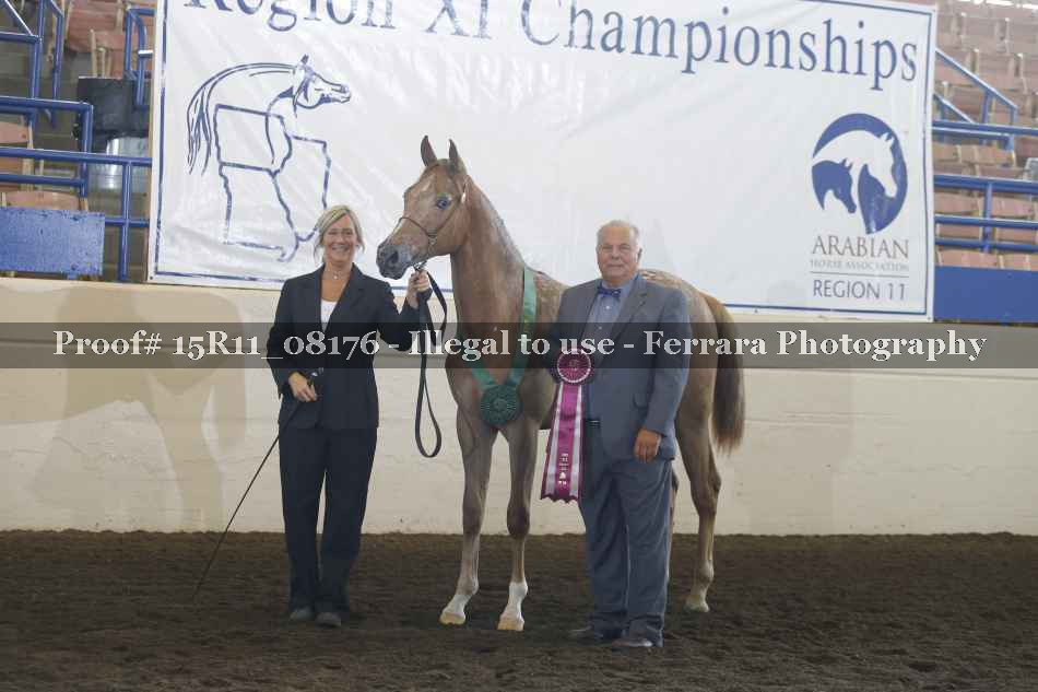 Proof 15R11_08176