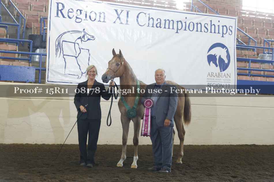 Proof 15R11_08178