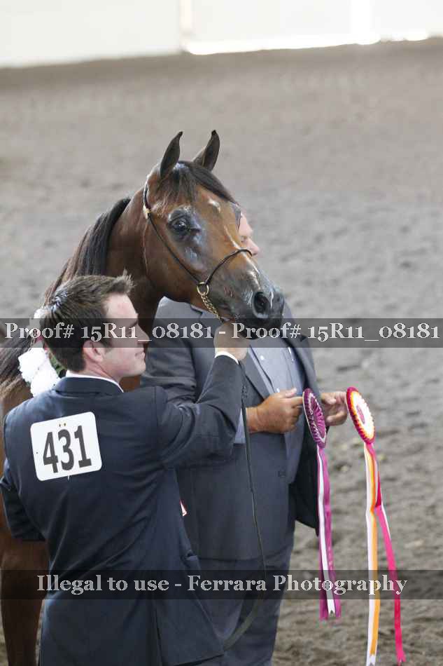 Proof 15R11_08181