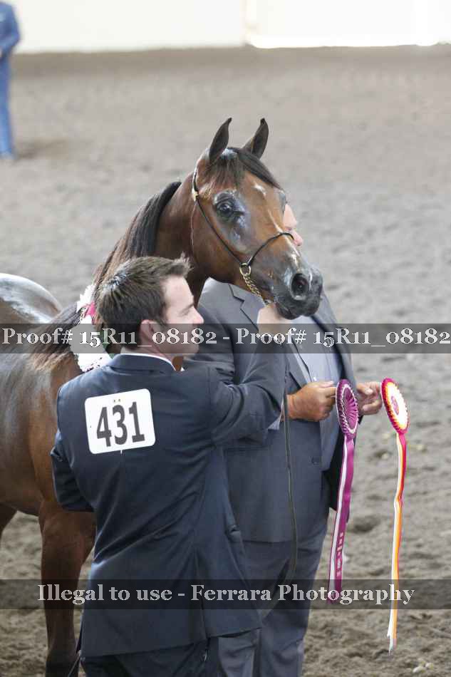 Proof 15R11_08182