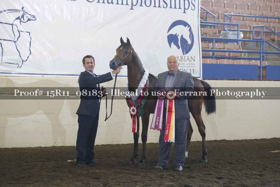 Proof 15R11_08183