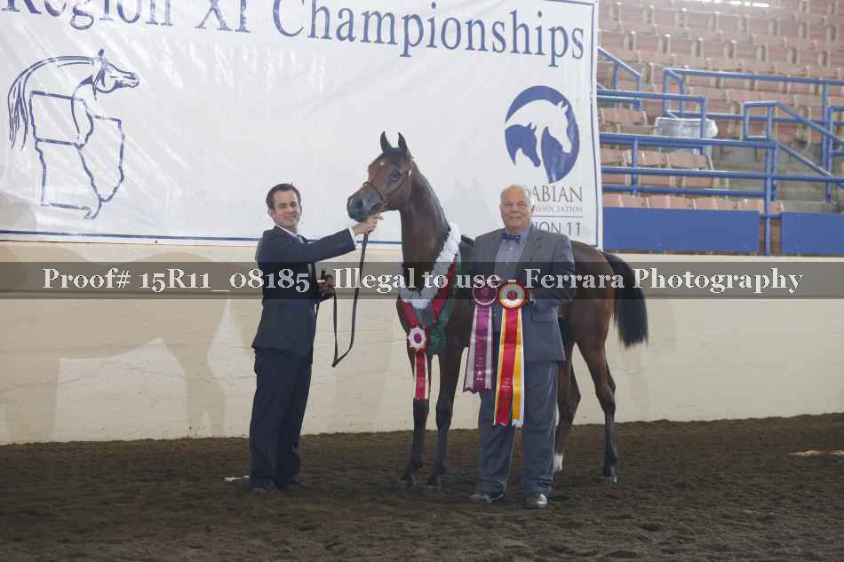 Proof 15R11_08185