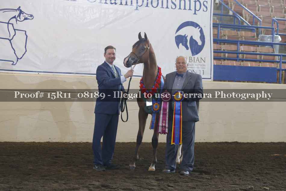 Proof 15R11_08189