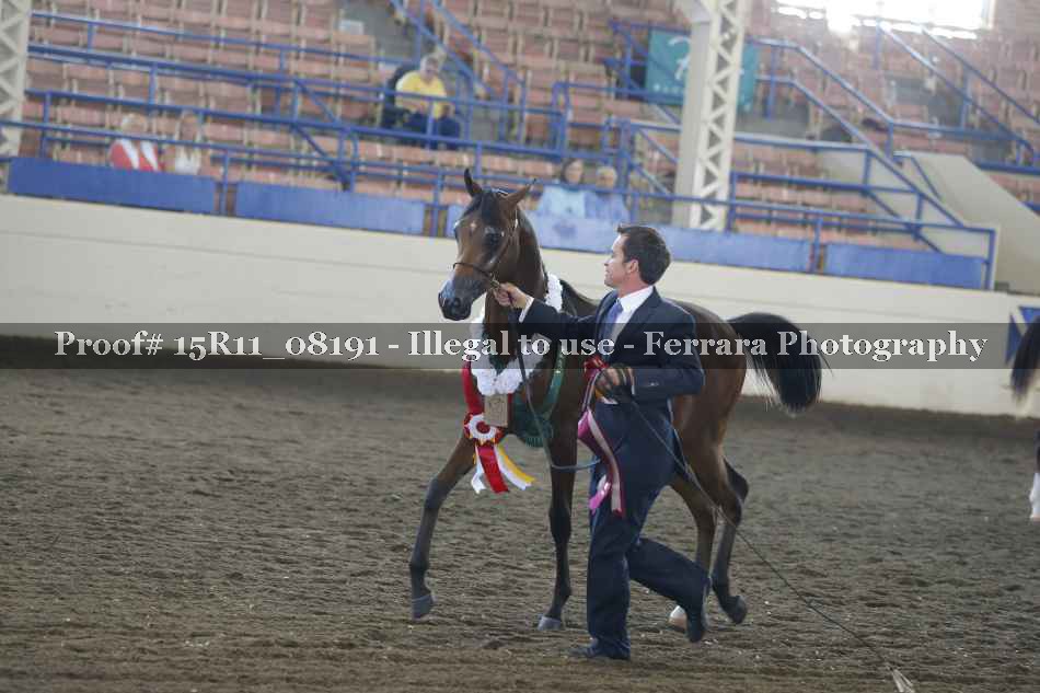 Proof 15R11_08191