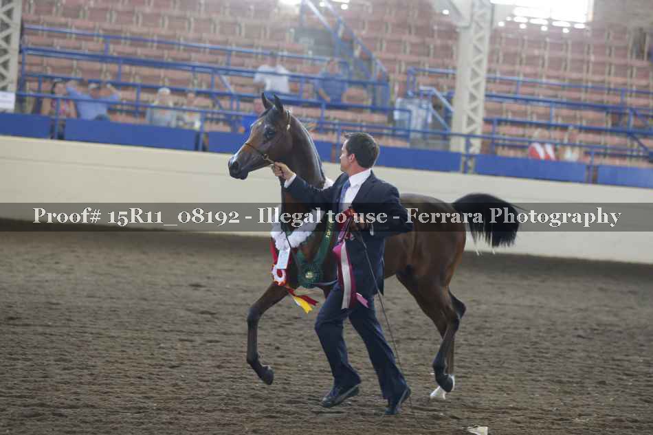 Proof 15R11_08192