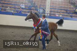 15R11_08193 proof