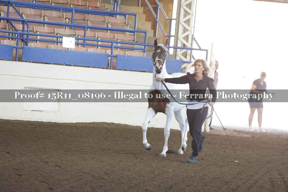 Proof 15R11_08196