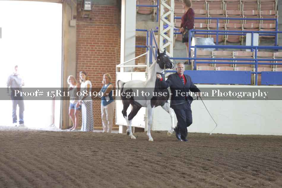 Proof 15R11_08199