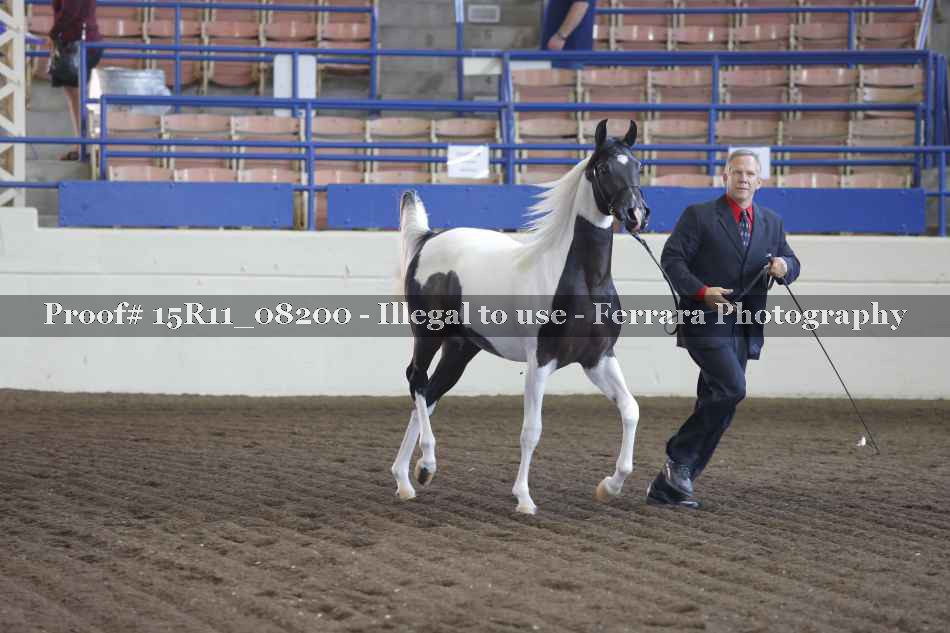 Proof 15R11_08200