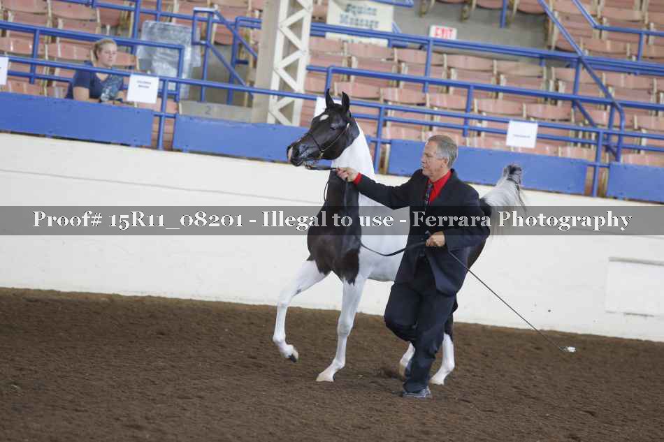 Proof 15R11_08201