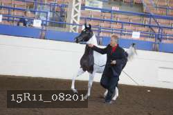 15R11_08201 proof