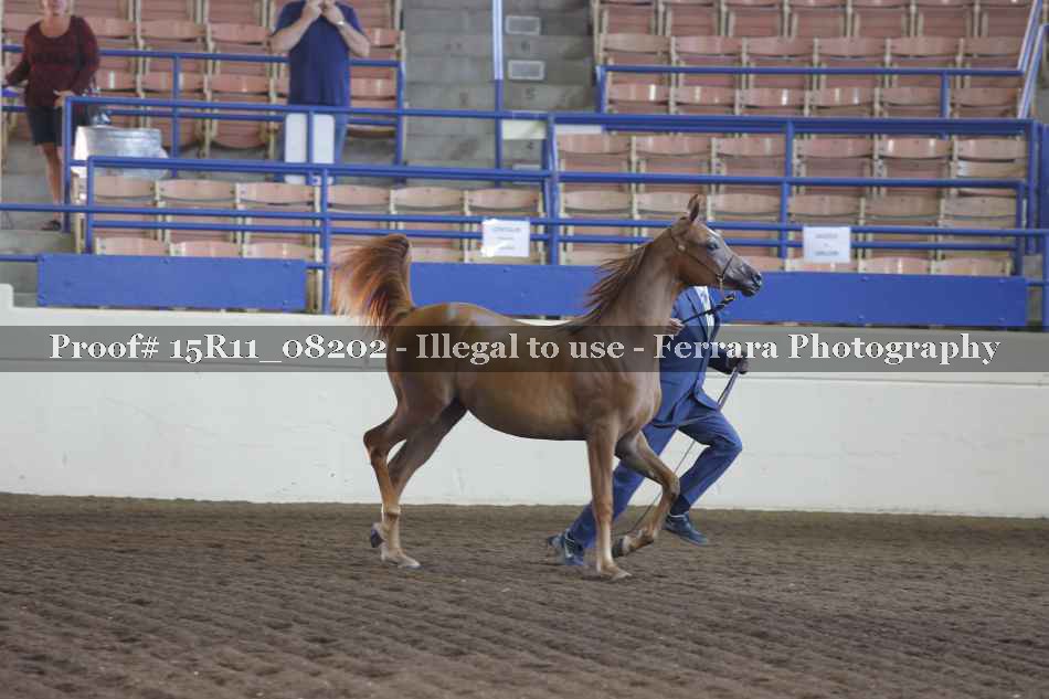 Proof 15R11_08202