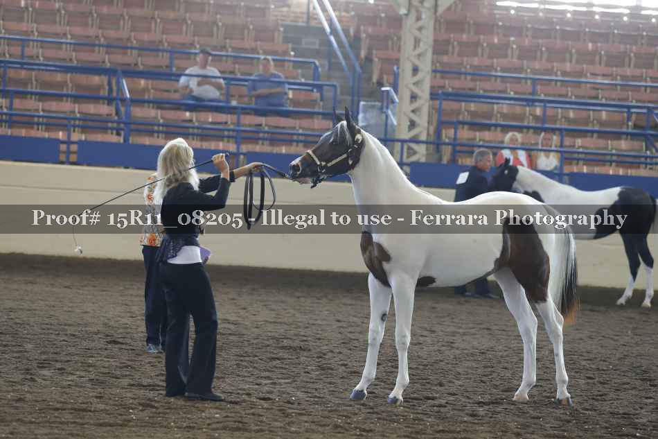 Proof 15R11_08205