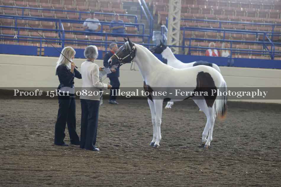 Proof 15R11_08207
