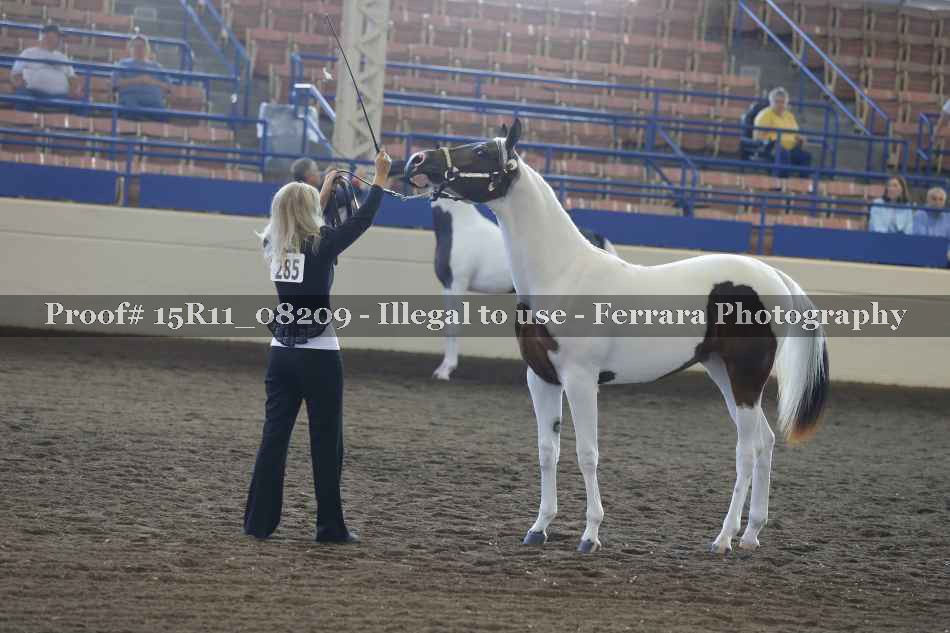 Proof 15R11_08209