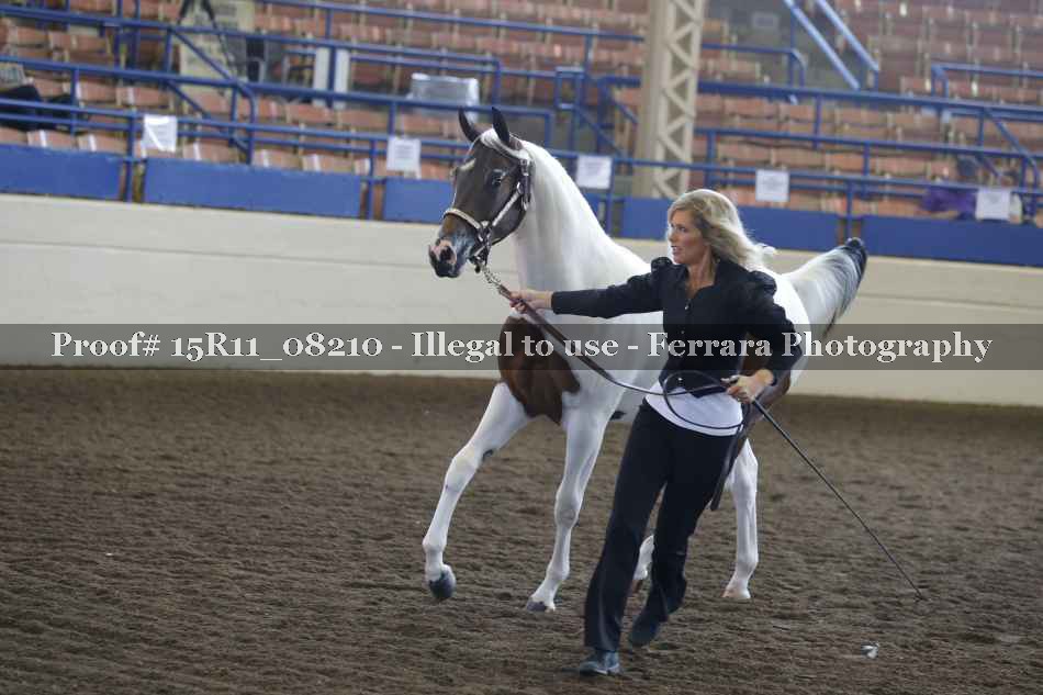 Proof 15R11_08210
