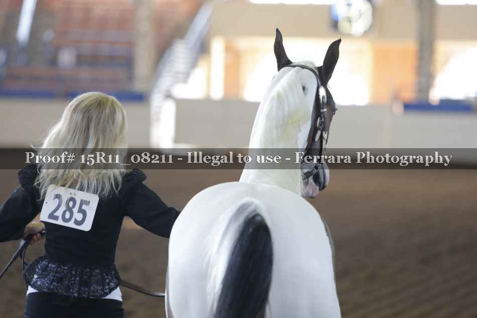 Proof 15R11_08211