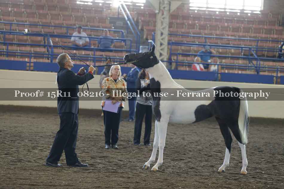 Proof 15R11_08216