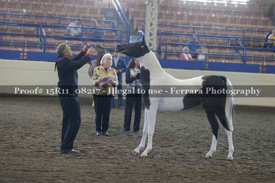 Proof 15R11_08217