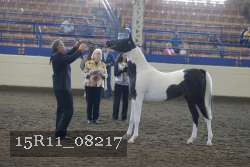 15R11_08217 proof