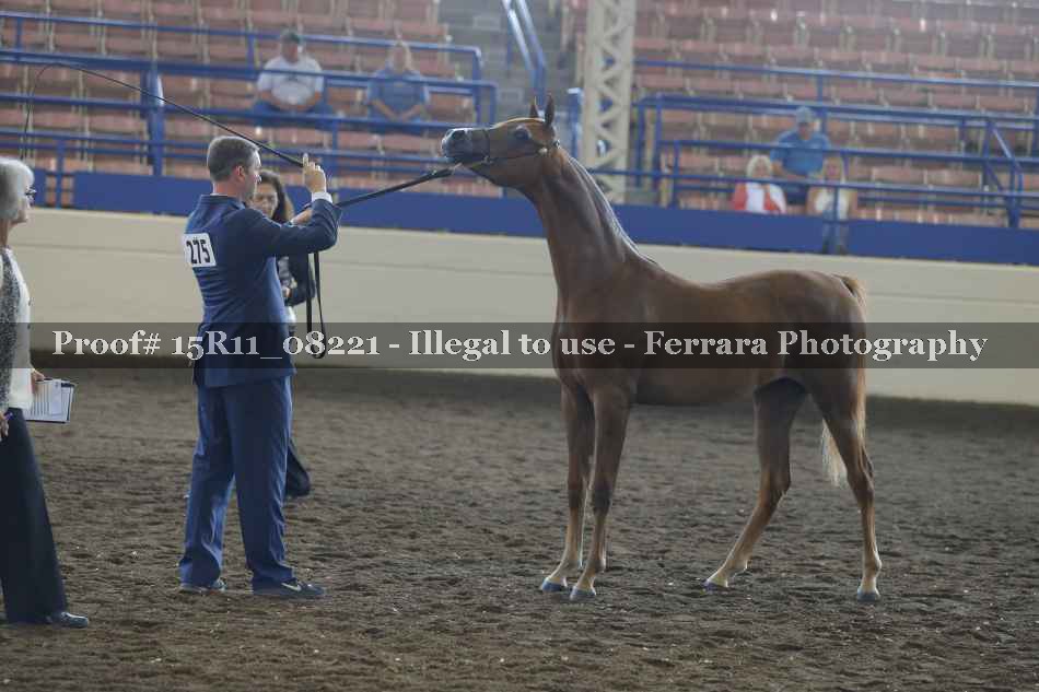Proof 15R11_08221
