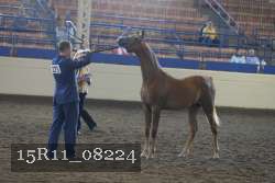 15R11_08224 proof