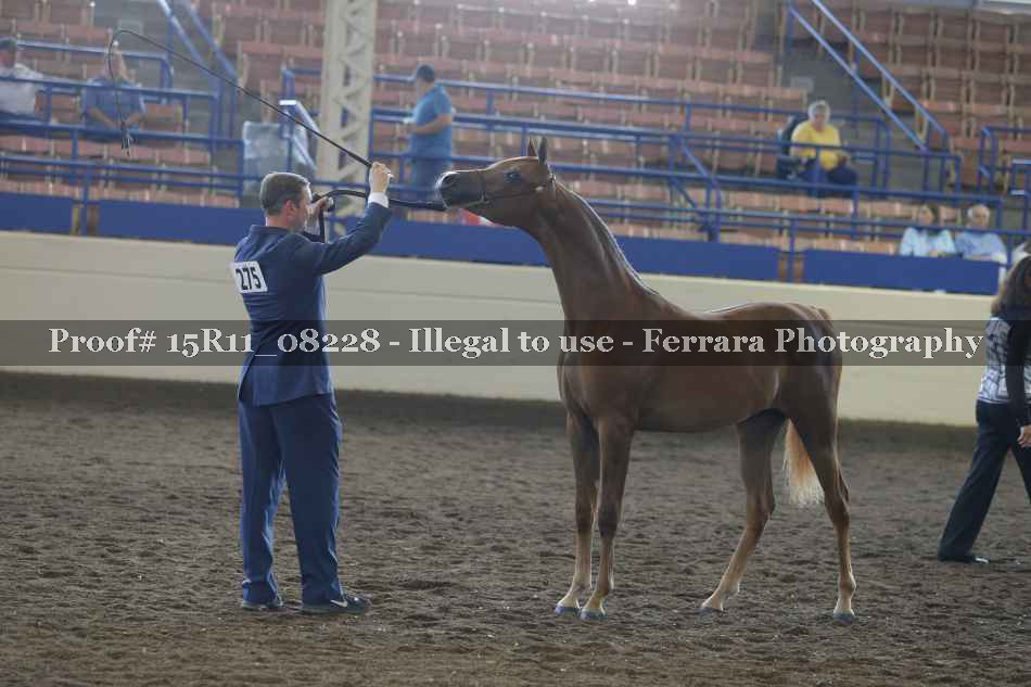 Proof 15R11_08228