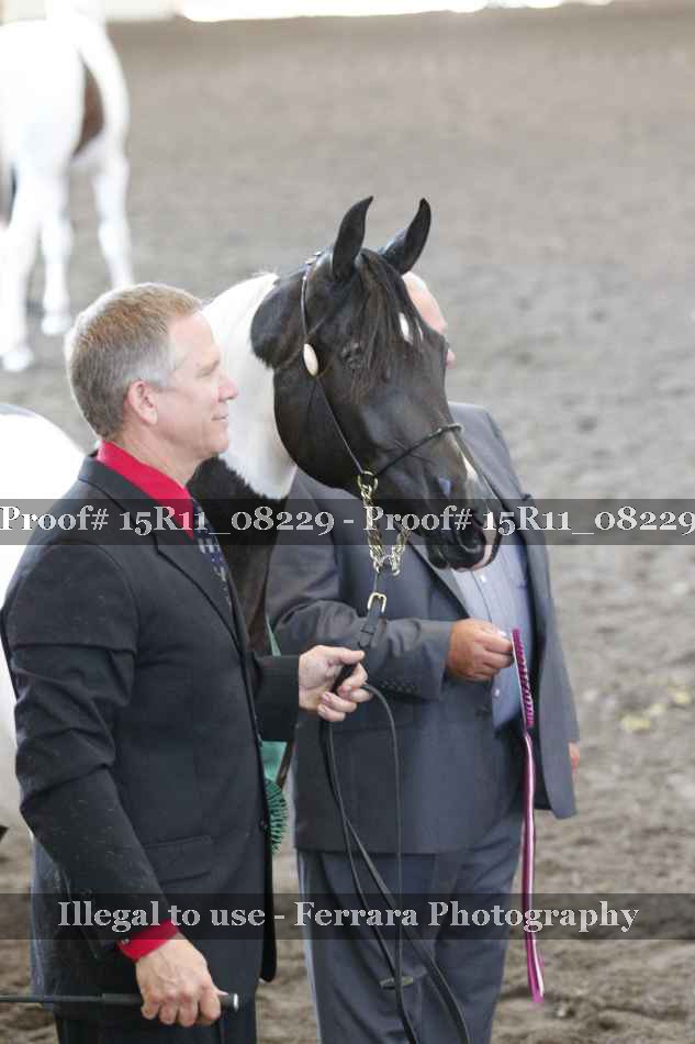 Proof 15R11_08229