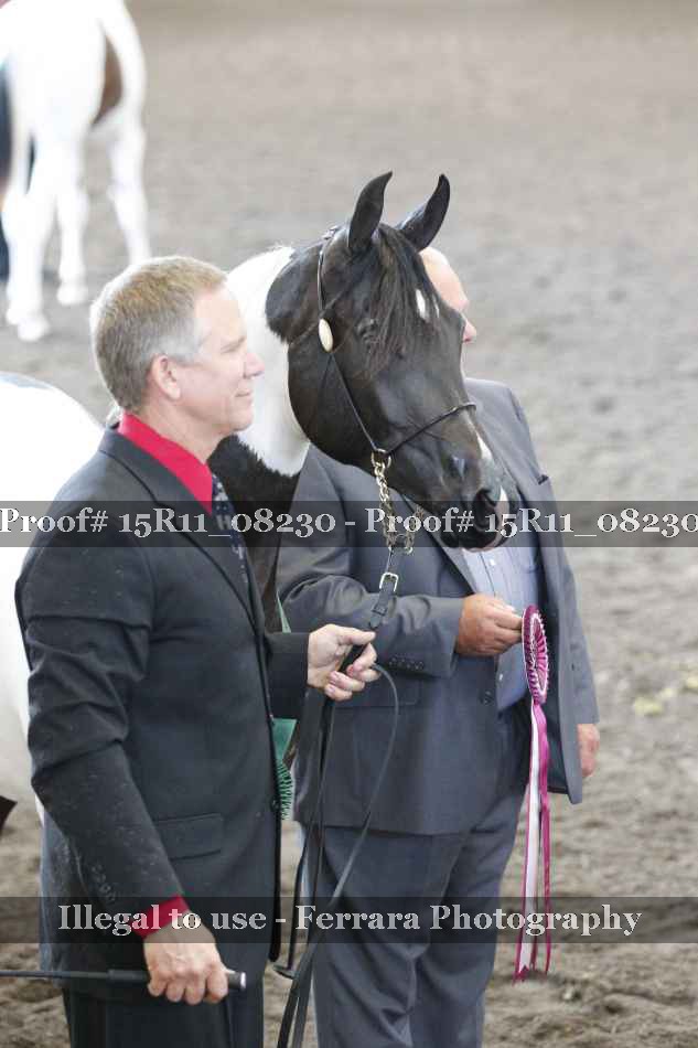 Proof 15R11_08230