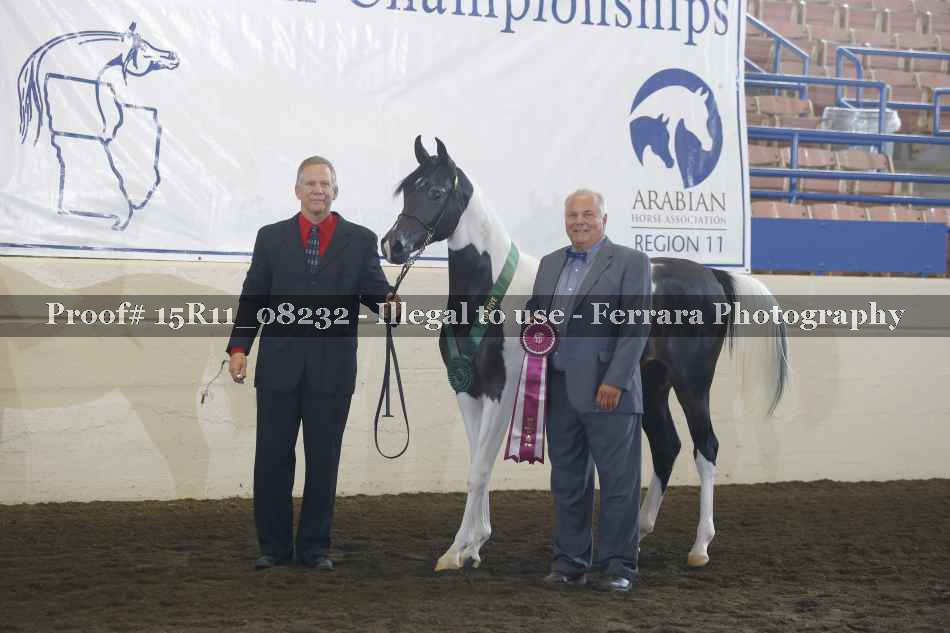 Proof 15R11_08232