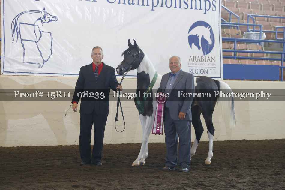 Proof 15R11_08233