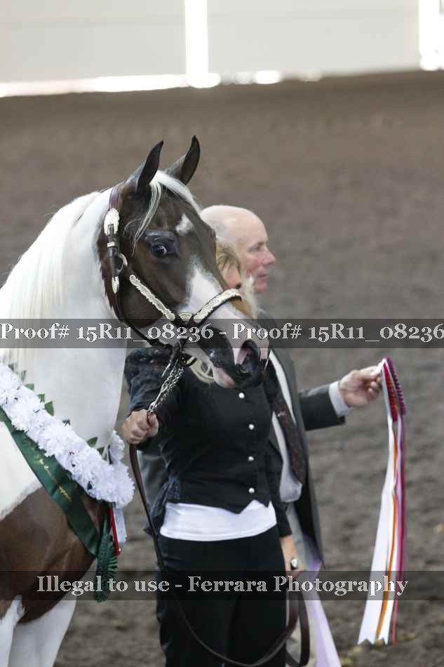 Proof 15R11_08236
