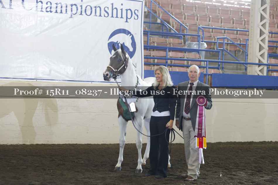 Proof 15R11_08237