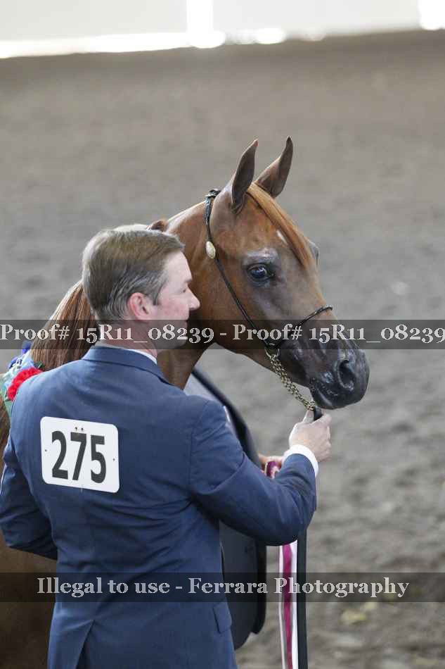 Proof 15R11_08239
