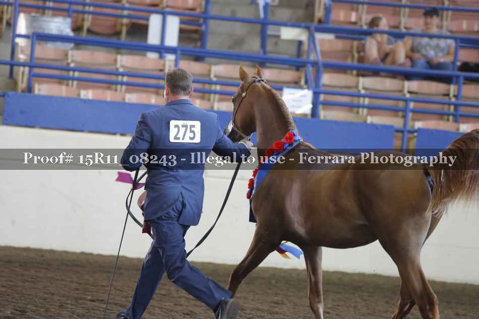 Proof 15R11_08243