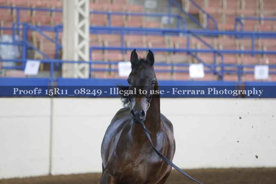 Proof 15R11_08249