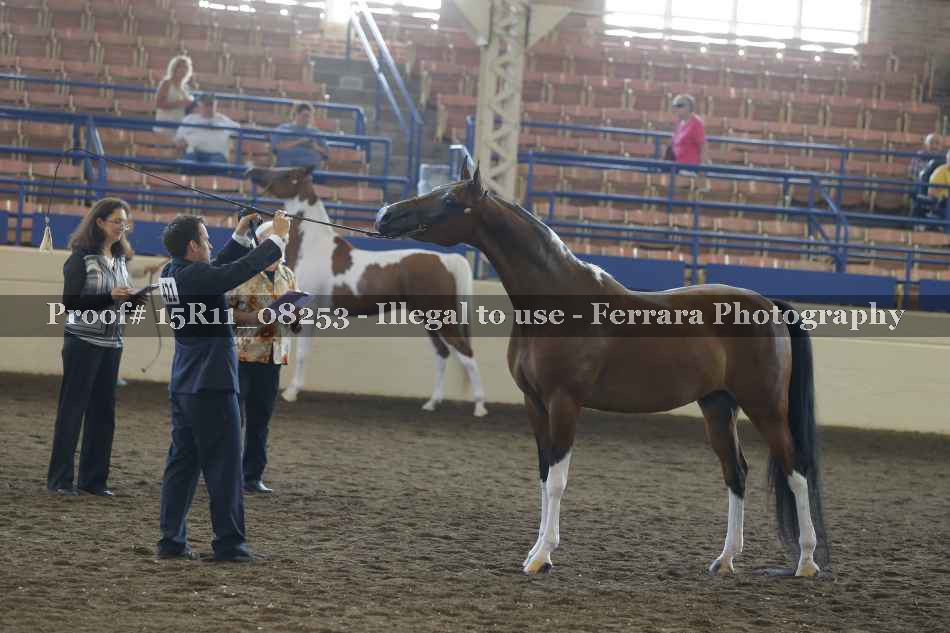 Proof 15R11_08253