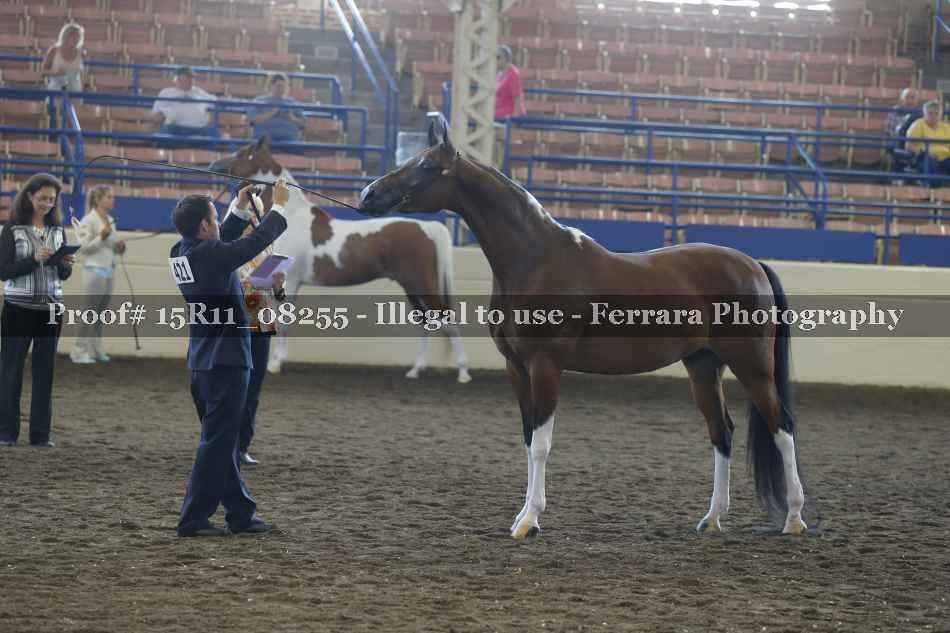 Proof 15R11_08255