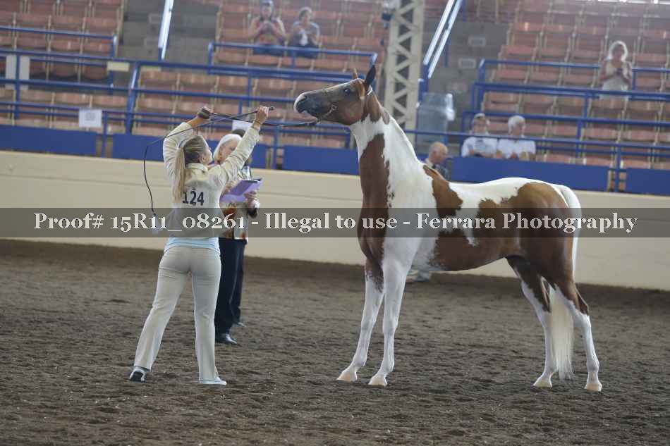 Proof 15R11_08261
