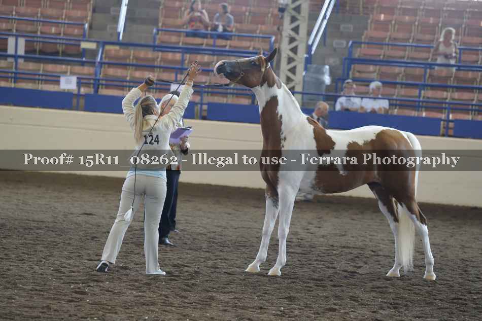 Proof 15R11_08262