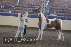 15R11_08262 proof